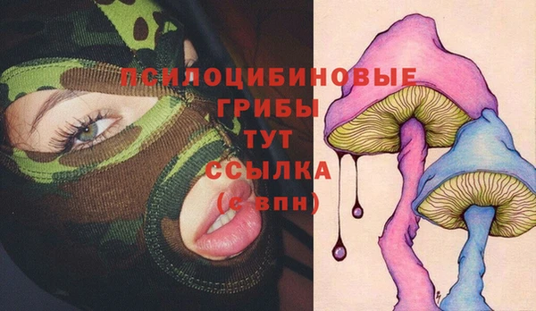 меф Мегион